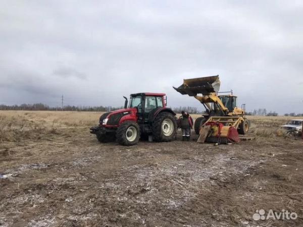 Расчистка 24/7, мульчирование от 1 Га, выкорчевка — фото 3